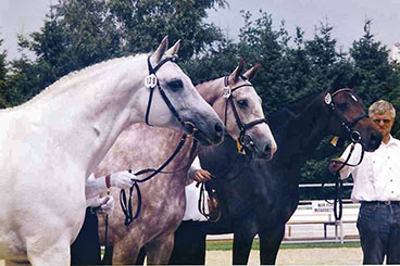 Familie der Suleiken Trakhener Landesschau 1996 Schampus, Syvari und Shadée Foto: Beate Langels